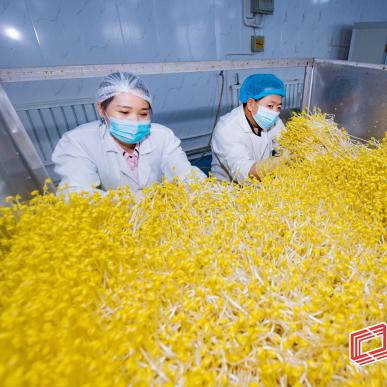 昌吉市最新新闻报道动态