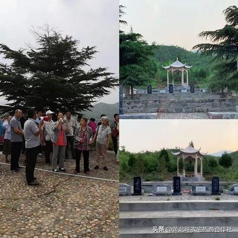 赞皇热点事件深度解析