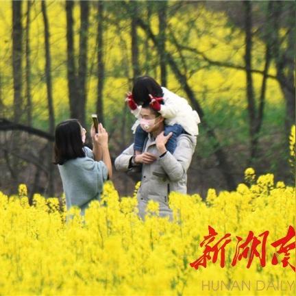 惠民鸡蛋价格与市场趋势解析