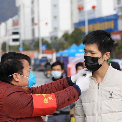 融安招聘动态与就业市场深度解析