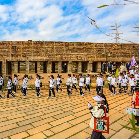 最新团队展示视频深度解析，多元领域精英团队实力展现