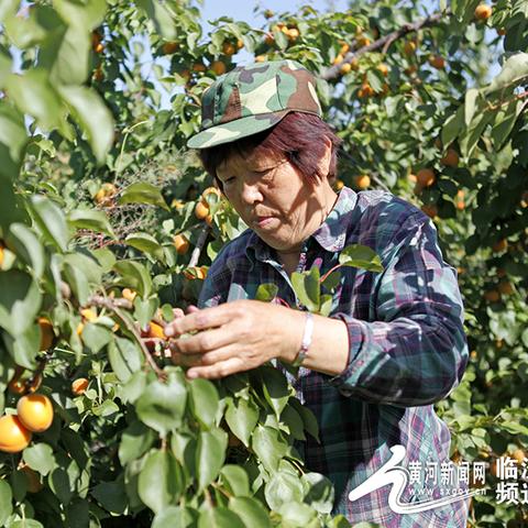 襄汾新闻热点更新报道