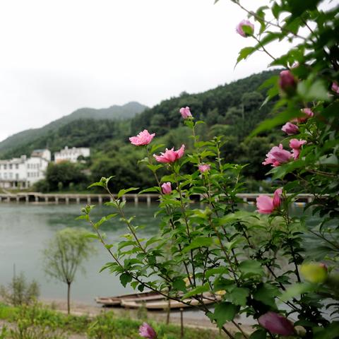 诗篇最新款，现代诗歌新领域探索