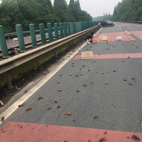 汉川车祸事件最新报告概况