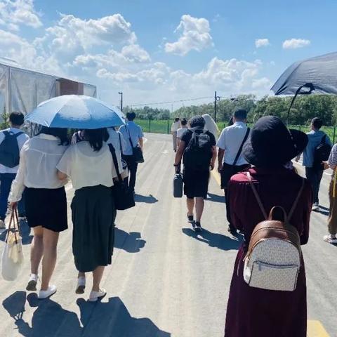 张北最新新闻动态报道速递