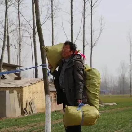 曹县最新征婚信息汇总