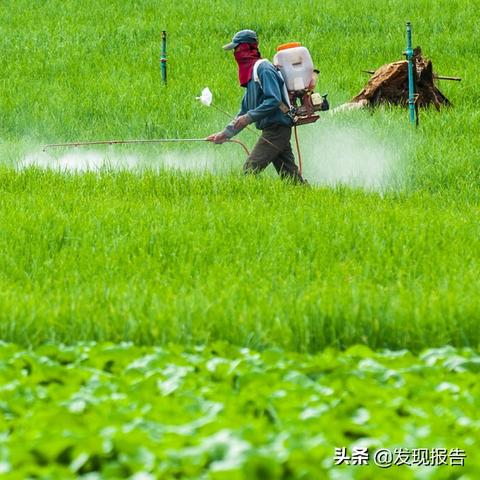 液碱最新价格走势及分析综述