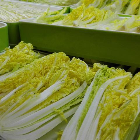 东瓜价格行情最新分析