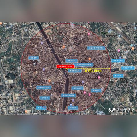 常平最新楼盘深度解析