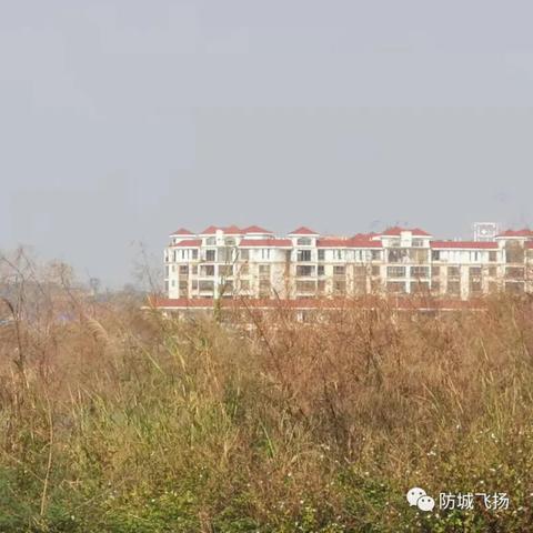 上思楼盘最新动态解析