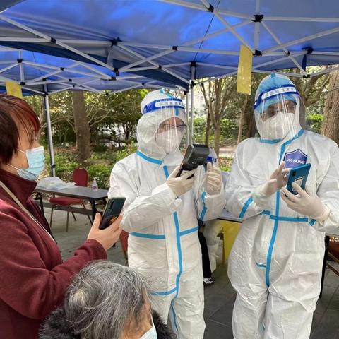 上海最新注册企业概览，最新数据解析与洞察