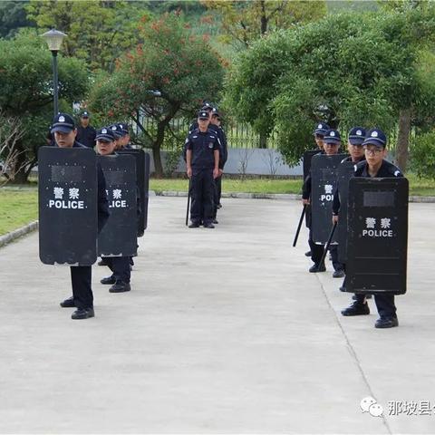 那坡最新招聘信息全面解析