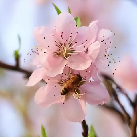 石嘴山最新新闻动态报道