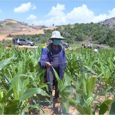 新平最新招聘热点，行业分析、职位详解与求职指南