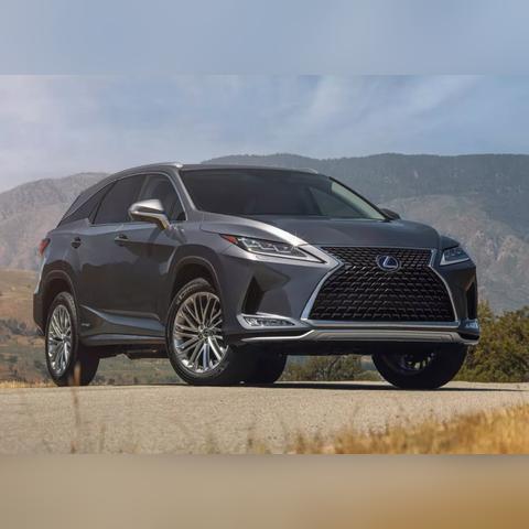 山东韭菜价格最新走势分析