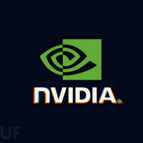 网站漏洞深度解析，数据、影响及应对策略探讨