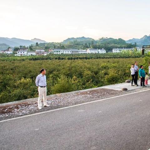 竹溪新闻速递，最新报道汇总