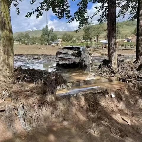 数字世界奇迹探索，最新高清种子分享