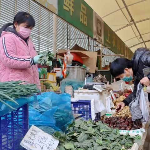 最新冷库洋葱价格走势分析