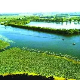 雄安新区建设进展视频揭秘，新时代壮丽画卷崛起中