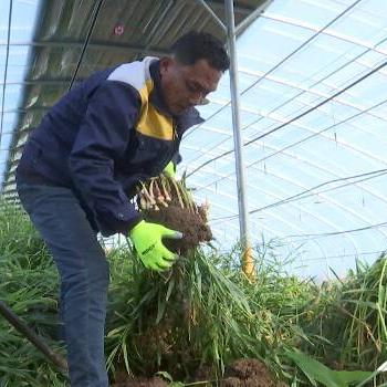 安丘最新新闻动态速递