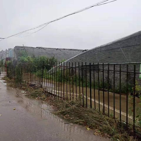 邢台门市最新出租信息解析