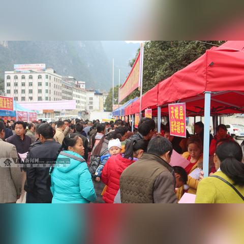 天峨最新招聘信息大全