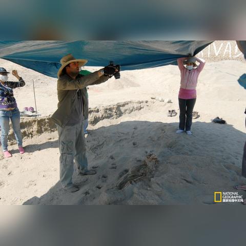 秘鲁最新新闻动态报道速递