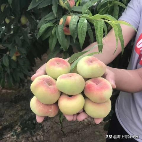 大荔最新房价走势分析