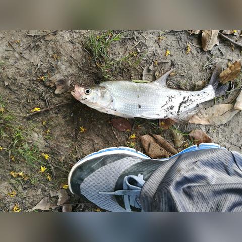 昆山电工招聘，最新职位信息汇总