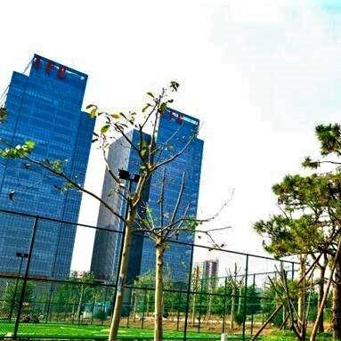 泰安绿地公馆最新动态更新！