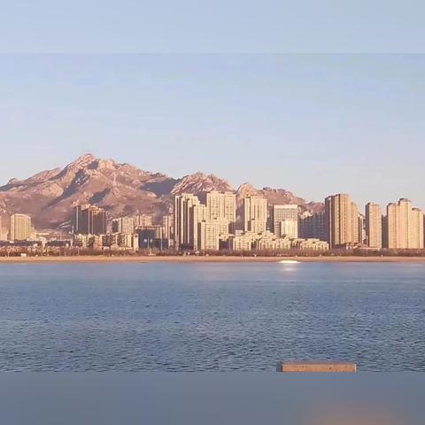 全方位解释：正版资料免费公开—活动版和商品房限购松绑