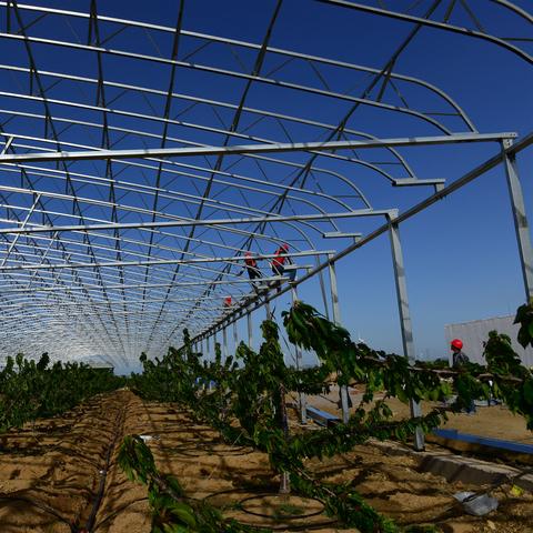 胶州优质房源出售，投资居住首选之地