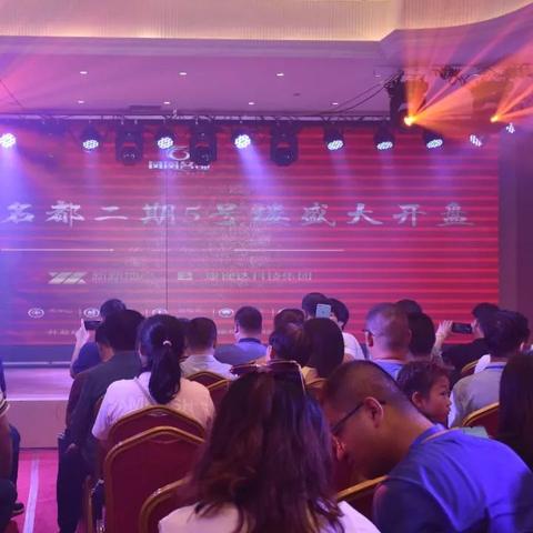 中央名都最新动态揭秘，重磅数据与深度解读报告