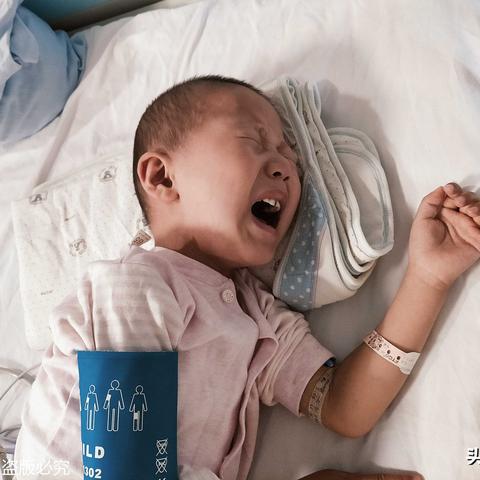 山东潍坊玉米价格走势分析