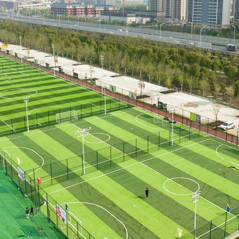 最新解读：2025全年免费资料大全—伪需求／刚需痛点