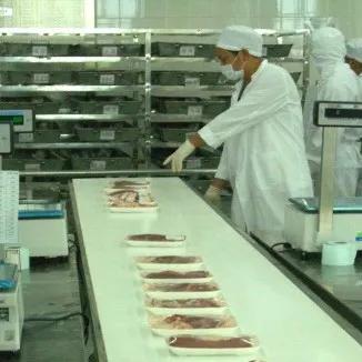 全方位解释：香港澳门最新资料—垂直农业和成本质疑