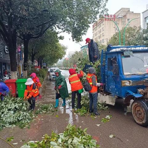 园林办发布最新通知公告