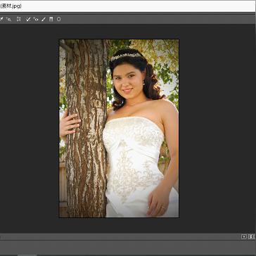 梦幻西游PS角色最新加点攻略