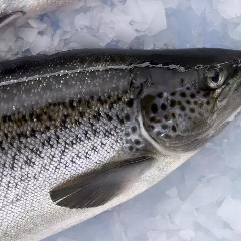 全方位解释：2025年全年资料免费公开—县域消费升级和一线城市降级