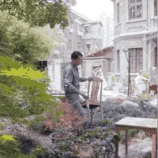 上海残疾车革新，技术升级与人性化设计完美融合