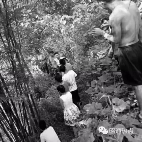 大盐津新闻热点报道速递