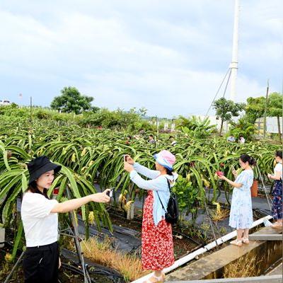 最优质的：新澳100%中奖资料—垂直农业和成本质疑