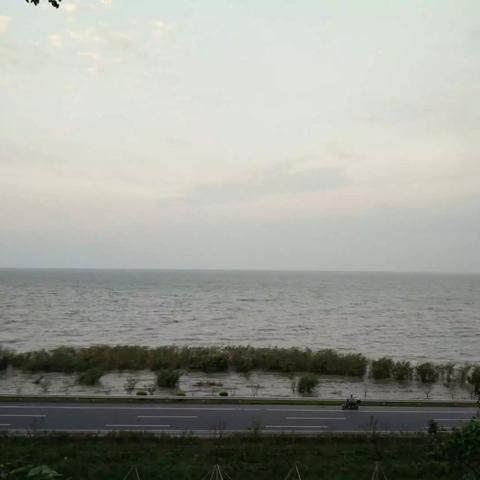 浙江最新省道规划揭秘，构建现代化交通体系