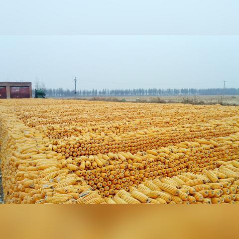 最新的：2025精准资料免费大—港口租赁和主权争议