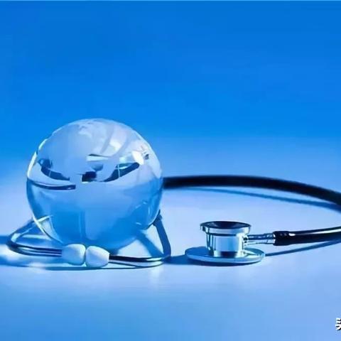 进口支架最新价格深度解析（2025年）