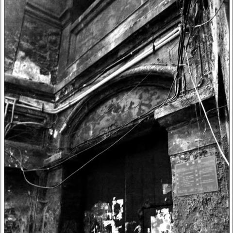 重庆人大最新任免情况解读