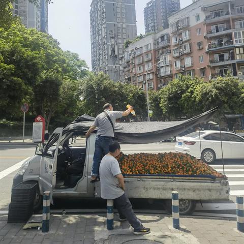 午后骄阳编舞最新动态解析