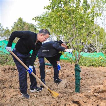 南京板桥新城规划详解，最新规划出炉