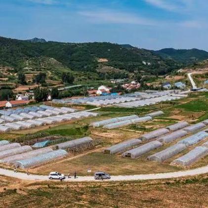 临朐伊利招聘信息更新，岗位详情与申请指南